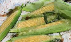 Как правильно сварить кукурузу: ценные советы Сколько варить кукурузу в домашних условиях